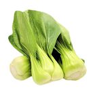 Brightfarms Green Brassica (1 Pack) Approx. 280g
