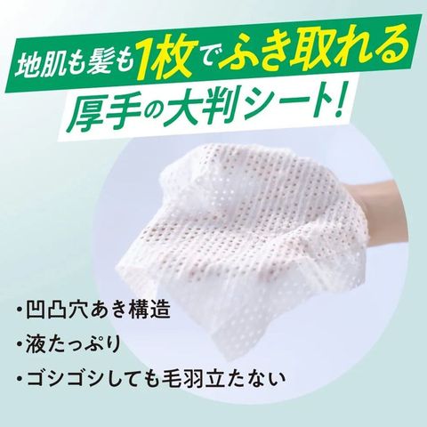Kao Merit Day + Dry Shampoo Sheet - Verbena & Lemon Flavour 12 Pieces [Parallel Import]