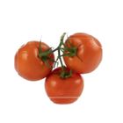 (Hydroponic) Aqua Green-Large Vine Tomato 1 pack approx. 350g