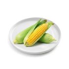 Brightfarms Sweet Corn (2 Pieces) Approx. 600g