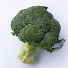 Broccoli 1 Piece