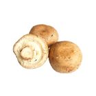 Organic Brown Mushroom 200g [P] - 2203842