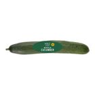 [Shelf life: 2 days or below] Cucumber 901383 1 each