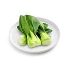 Brightfarms Green Brassica (1 Pack) Approx. 280g