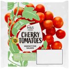 [Consume within today] Cherry Tomatoes 875677