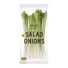[Consume within today] Salad Onions 902182