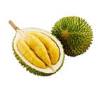 Malaysia/ Thailand Musang King Durian 1pc
