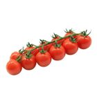 Netherlands Fresh Cherry Tomato 1 Pack [P] - 20378253