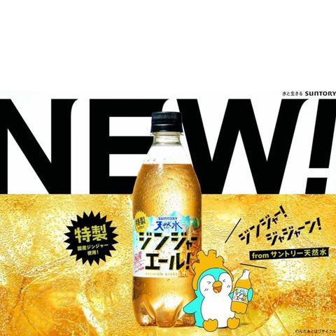 Suntory Tokusei Ginger Ale 500ml