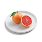 South Africa/Egypt Jumbo Grapefruit 1pc