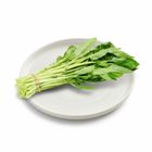 Thailand Tropical Premium Morning Glory 250g