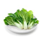 Brightfarms 白菜苗 (1包) 約300克