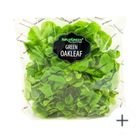 (Hydroponic) Aqua Green-Green Oakleaf 1 pack approx. 120g