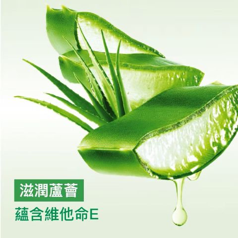 滴露 泡沬殺菌潔手液 滋潤蘆薈 250亳升