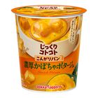 Pokka Sapporo 酥脆麵包濃郁南瓜濃湯 29.5克 [平行進口]