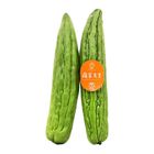 Mr. Vegetable Long Bitter Cucumber 1 Pack