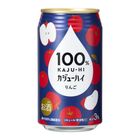神戶居留地 100% 蘋果汁味梳打酒 Alc. 3% 340毫升
