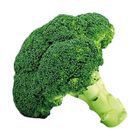 Brightfarms Broccoli 1 Piece