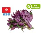 (Local Organic) Blue Girl-Gynera Bicolor(Okinawa Spinach) 1 pack approx. 300g
