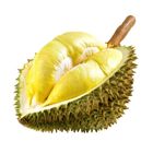 Durian Monthong (Approx. 3.5kg - 4.5kg) 1 Piece [P] - 20481214