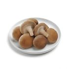 Brightfarms Fresh Chinese Mushroom 1 Pack Approx. 200g