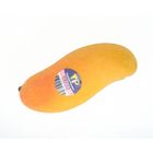 Thailand TP Rainbow Mango 1 pc
