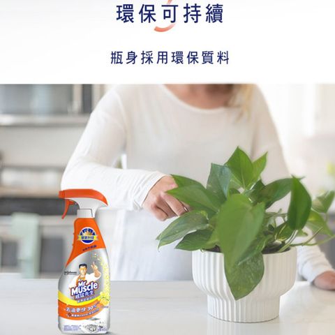 威猛先生 (超強效 Plus 廚房清潔劑 500克 + 補充裝 500克) 1套