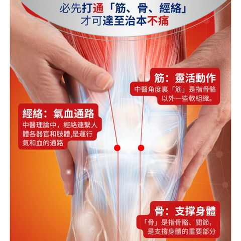 Healthall Chinese Herbal Pain Relief Patch (Ice Cooling) 10pcs