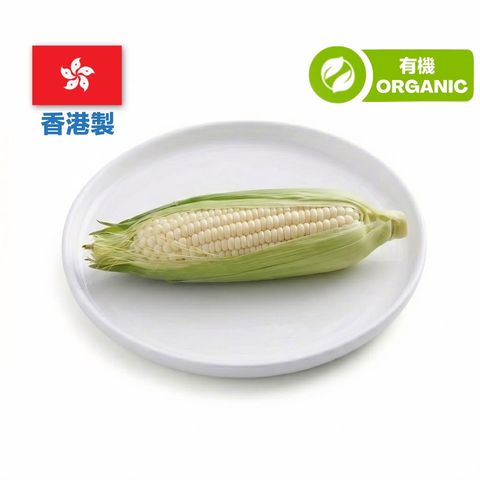 (Local Organic) Organic Farmula White Corn (with Leaves and Silk) 1 pc approx 200g