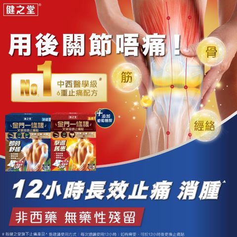 Healthall Chinese Herbal Pain Relief Patch (Hot Warming) 10pcs