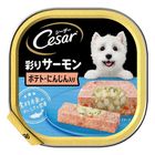 Cesar Salmon with Potato & Carrot 100g