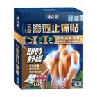 Healthall Chinese Herbal Pain Relief Patch (Ice Cooling) 10pcs