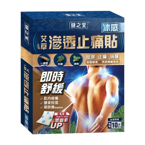 Healthall Chinese Herbal Pain Relief Patch (Ice Cooling) 10pcs