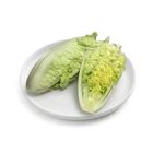 brightfarms Napa Cabbage (1 Pack) Approx. 500g