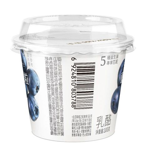 Classy Kiss Blueberry Yoghurt 100g