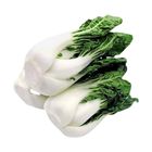 Brightfarms Bok Choy Brassica (1 Pack) Approx. 300g