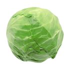 BrightFarms-Cabbage 1 pc