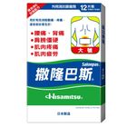 Salonpas Advanced Plaster Large 12 Pieces