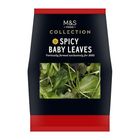 [Consume within Today] Marks & Spencer Collection Spicy Baby Leaves 80g 29520237