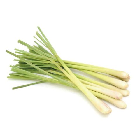 泰國 Tropical Premium 香茅 約150克