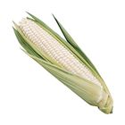 brightfarms White Corn 1 Piece