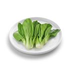 Brightfarms Baby Green Brassica 1 Pack Approx. 300g
