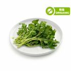Thailand Tropical Premium Organic Watercress 200g