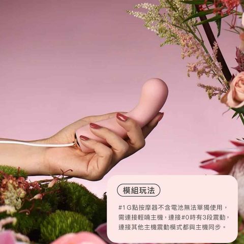 Qingnan #1 G-spot Massager (Pink) 1 Piece (Please note that this product requires a companion #5 or #0 base unit and cannot be used alone.)