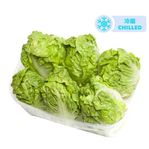 Spain Baby Lettuce (Little Gem) 6 pieces (packaging will be shipped out randomly)
