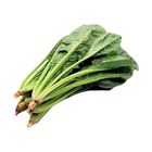 Brightfarms Spinach Approx. 350g
