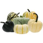M&S Seasonal Mixed Squash 1 Piece (Variable) 29022359