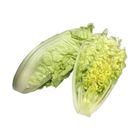 brightfarms Napa Cabbage (1 Pack) Approx. 500g