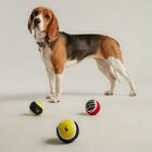 Rosewood Joules Outdoor Balls 3 Pieces