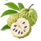 KH Sugar Apple - 2283385000003 0.5kg